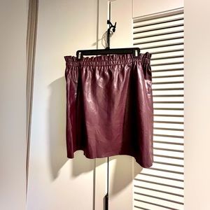 Loft Vegan Leather Skater Skirt